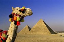 Private Tour: Cairo Day Trip from Sharm El Sheikh by private coach
