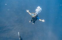 Advanced Open Water Dive Certification in Tamarindo