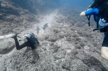 Catalina Island Diving Tour From Tamarindo - Certified Only