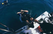 Catalina Island Diving Tour From Tamarindo - Certified Only