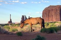 Monument Valley Daytime Tour - 3 Hours - Navajo Spirit Tours