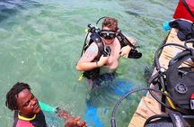 Roatan 1 Tank Shore Dive, Sloth & Monkey Park, City Tour plus Transportation