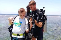 Roatan 1 Tank Shore Dive, Sloth & Monkey Park, City Tour plus Transportation