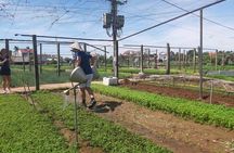 Hoi an Tra Que vegetable village & cooking class