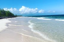 Dunn's River Falls and Beach From Ocho Rios Jamaica 