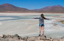 Puna Salt Flats - Full Day Tour - San Pedro de Atacama - Must Visit