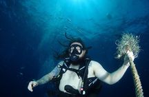Chumphon Pinnacle-Koh Tao 2 dive trip for certified divers