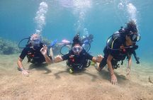 Introductory dive for non-certified divers