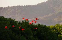 Bird Sanctuaries Tour