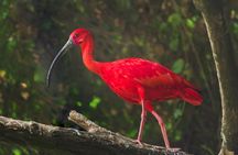 Bird Sanctuaries Tour