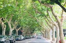 4-Hour Private Shanghai Walking Tour of Former French Concession 