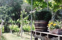 Private Tasting Tour in Corfu