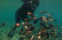 Package 3 days : City Tour, Snorkeling, & Hiking to Waterfalls 