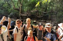  Private Chengdu day Tour of panda base with Leshan giant Buddha