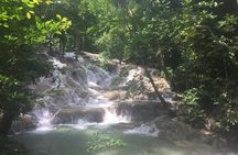 Dunn's River Falls and Tubing Combo Tour from Falmouth