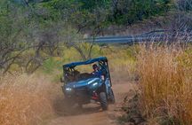Buggy Tour 5 seater side by side 