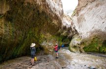 Trekking, Waterfalls and Thermal Baths