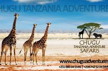 Tarangire National park and Lake Manyara National park 