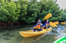 Bio Bay Night Kayaking with Transport from San Juan Area 