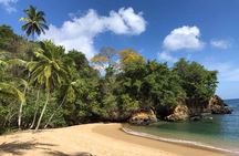 Englishman's Bay Day Trip with Lunch