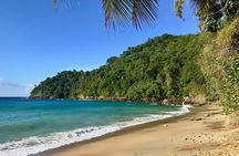 Englishman's Bay Day Trip with Lunch