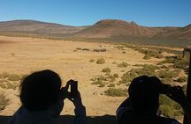 Big 5 Full Day Safari Aquila Lunch plus Breakfast From Cape Town