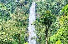 Materuni waterfalls and coffee Tour 