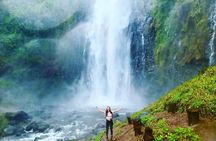 Materuni waterfalls and coffee Tour 