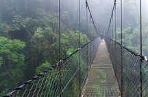 Mistico Hanging Bridges AM or PM, Guide & Transport