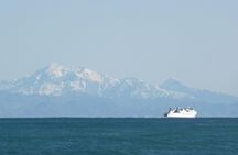 Seal Coast Safari - Exclusive access to Wellington's secret coast