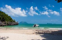 Samui Boat Charter, Private Speedboat Charter, Angthong National Marine Park