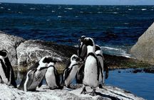 Cape of Good Hope, Cape Point & Penguins Private Afternoon Tour