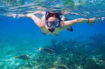 Bali Blue Lagoon Snorkeling Experience