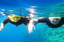  Snorkeling at Mahmya Island from Hurghada