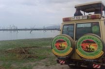 Tanzania Trip Amazing Tarangire Ngorongoro and Manyara
