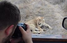 4 Day Kruger National Park Tour