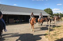 Riding course for all levels 1/2 day (3 hours)