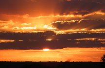 4 Day Kruger National Park Tour