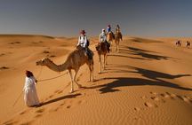 Dubai: Evening Desert Safari + Quad Bike, Dune Bashing & BBQ Dinner 
