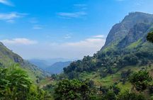 From kandy: Nuwara Eliya Private Day tour with Ambuluwawa Tower