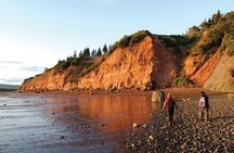 Grand Pre/Bay of Fundy / Hall's Harbour