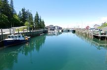 Grand Pre/Bay of Fundy / Hall's Harbour