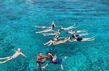 Discover Brac Island by Private Boat - Visit Bol and Hidden Bays 
