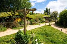 Luxury Small group tour from Auckland to Hobbiton Movie Set