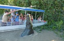 Adelaide River Cruises - Jumping Crocodile Experience