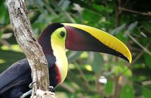 Manuel Antonio National Park Tour