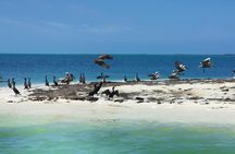 3 Islands Snorkel on boat, Isla Blanca, Contoy, Mujeres