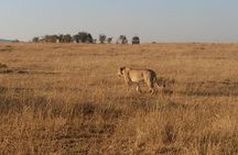 4 Days Amboseli Naivasha 