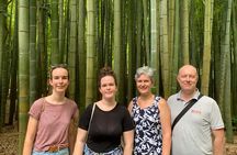 Kamakura Scenic Bike Tour