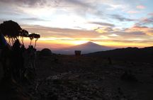 7 Days Machame Route Climbing Mt. Kilimanjaro 